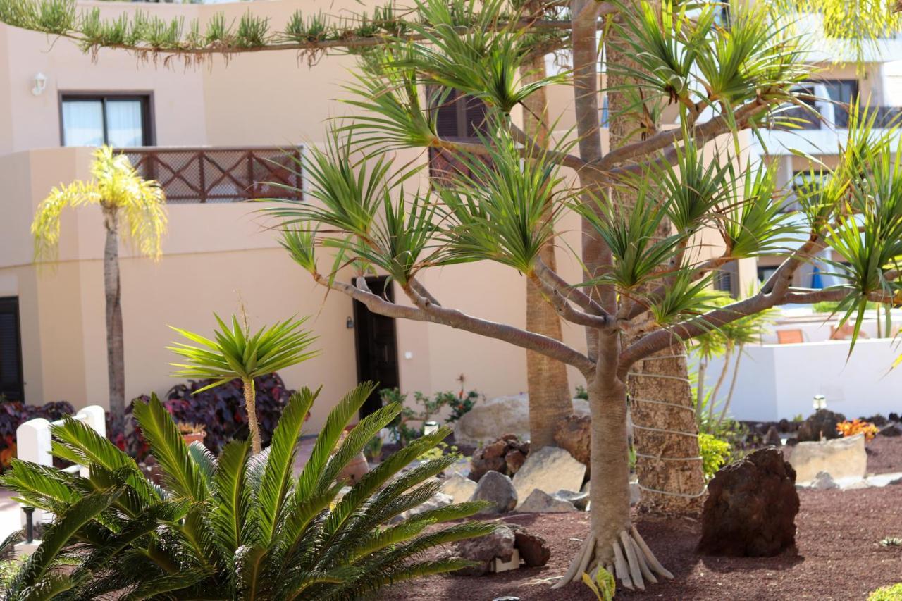 Paradise Luxury apartment San Miguel de Abona Extérieur photo